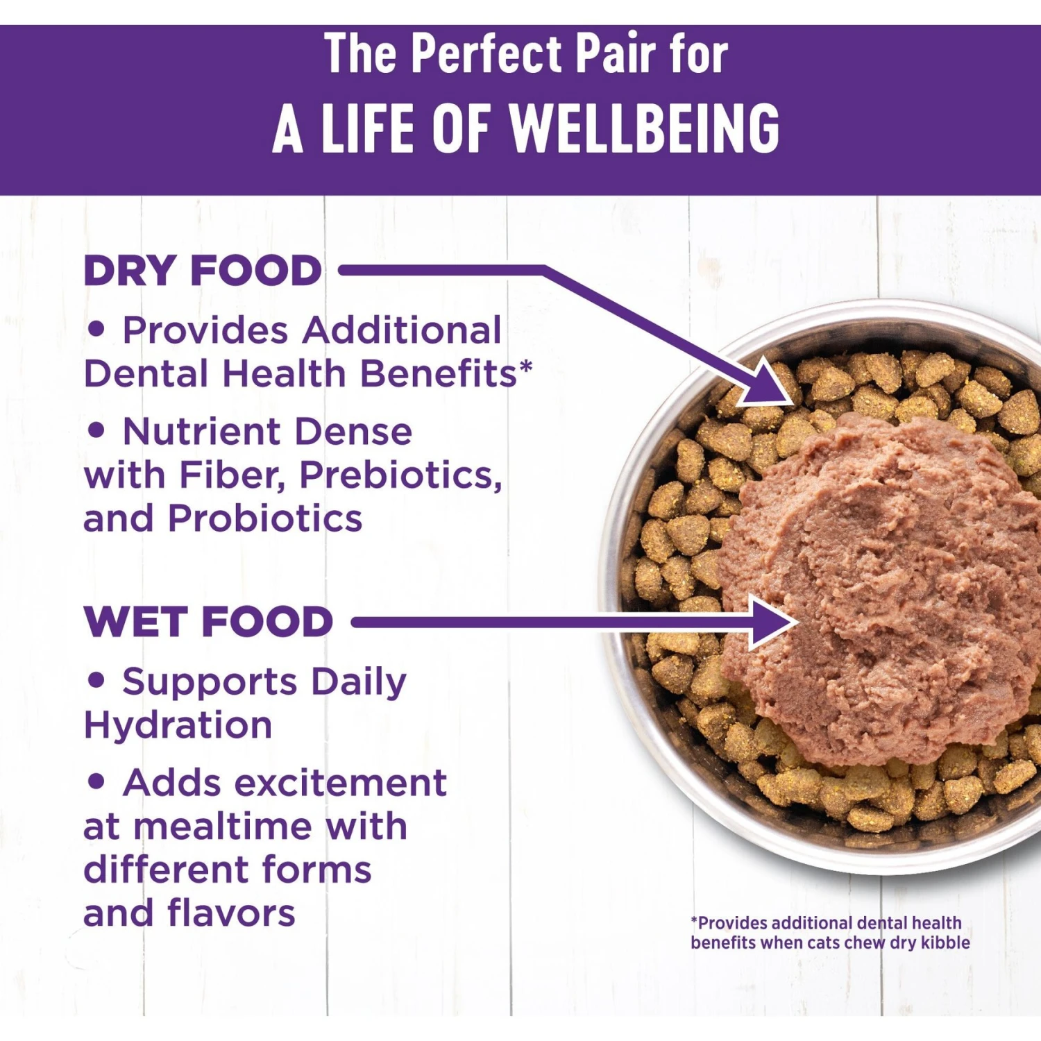 Wellness Complete Health Turkey Formula Grain-Free Natural Canned Cat Food 6 Wellness Complete Health Turkey Formula Grain-Free Natural Canned Cat Food - Image 6