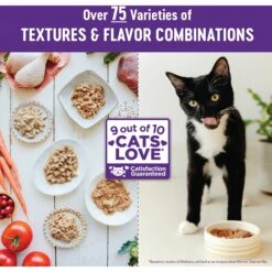 Wellness Complete Health Turkey Formula Grain-Free Natural Canned Cat Food 13 Wellness Complete Health Turkey Formula Grain-Free Natural Canned Cat Food -Wellness Sales Store 49285 PT6. AC SS1800 V1618320763