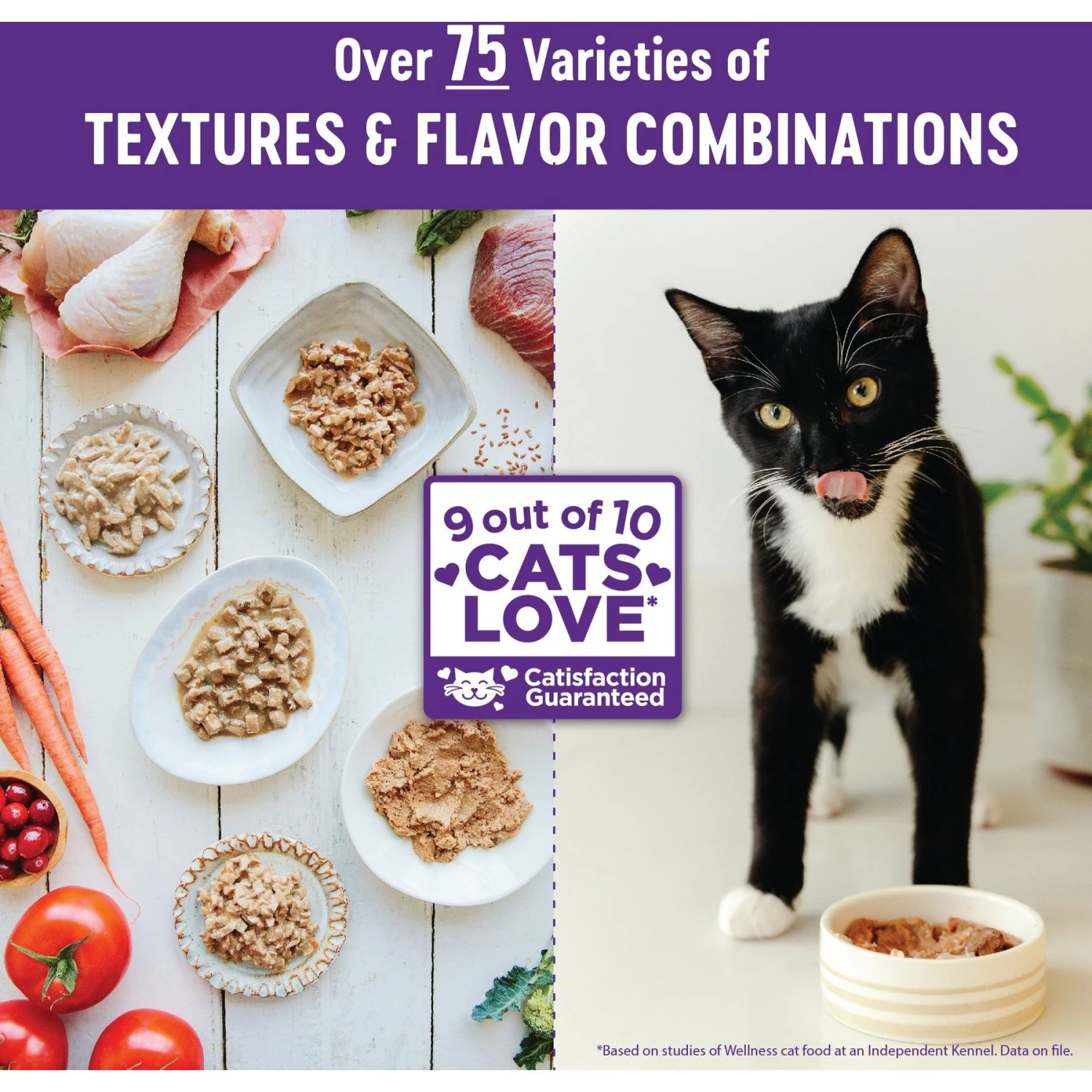 Wellness Complete Health Turkey Formula Grain-Free Natural Canned Cat Food 7 Wellness Complete Health Turkey Formula Grain-Free Natural Canned Cat Food - Image 7