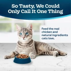 Blue Buffalo Tastefuls Sensitive Stomach Natural Chicken Adult Dry Cat Food -Wellness Sales Store 50765 PT2. AC SS1800 V1692644783
