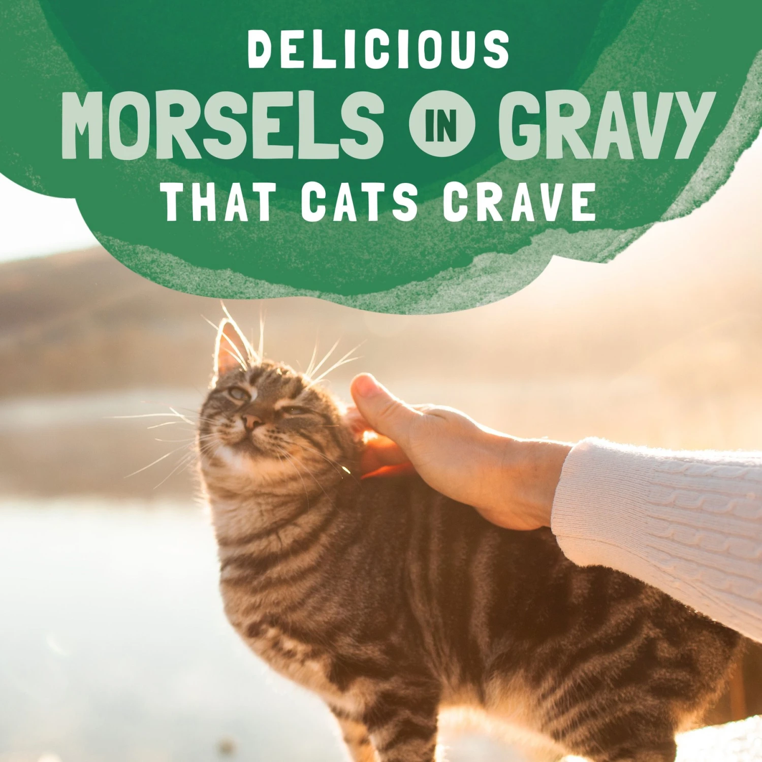 Natural Balance Platefulls Chicken & Giblets Formula In Gravy Grain-Free Cat Food Pouches 8 Natural Balance Platefulls Chicken & Giblets Formula In Gravy Grain-Free Cat Food Pouches - Image 8