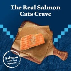 Blue Buffalo Wilderness Salmon Grain-Free Canned Cat Food 9 Blue Buffalo Wilderness Salmon Grain-Free Canned Cat Food -Wellness Sales Store 51558 PT2. AC SS1800 V1646791893