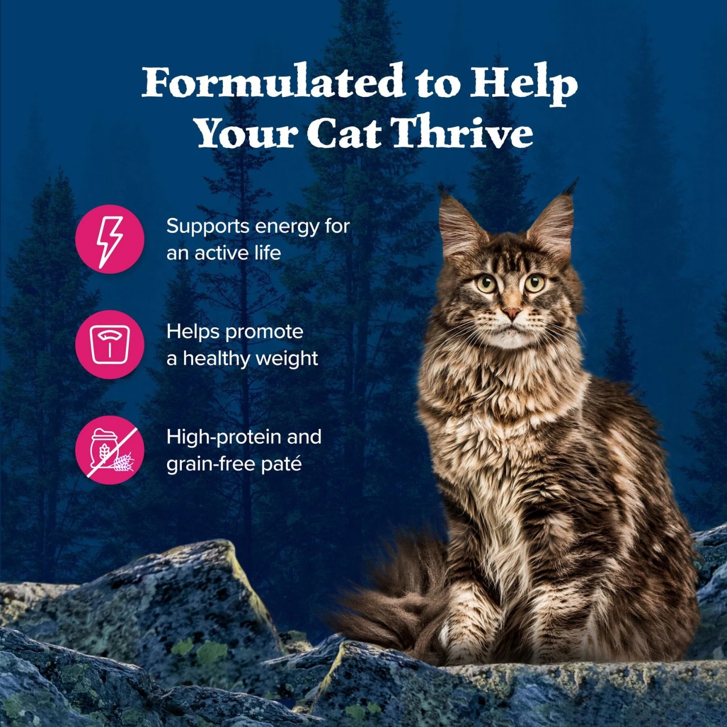 Blue Buffalo Wilderness Salmon Grain-Free Canned Cat Food 4 Blue Buffalo Wilderness Salmon Grain-Free Canned Cat Food - Image 4