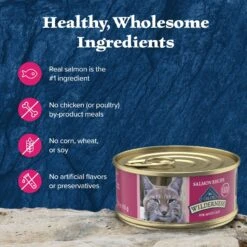 Blue Buffalo Wilderness Salmon Grain-Free Canned Cat Food 12 Blue Buffalo Wilderness Salmon Grain-Free Canned Cat Food -Wellness Sales Store 51558 PT5. AC SS1800 V1646781685
