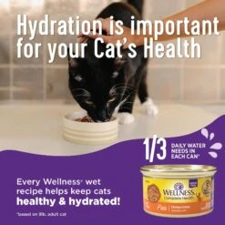 Wellness Complete Health Natural Minced Salmon Dinner Grain-Free Canned Cat Food -Wellness Sales Store 52112 PT3. AC SS1800 V1636520600