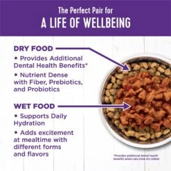 Wellness Complete Health Natural Minced Salmon Dinner Grain-Free Canned Cat Food -Wellness Sales Store 52112 PT5. AC SS1800 V1636497800