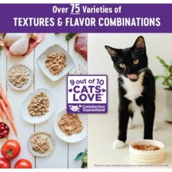 Wellness Complete Health Natural Minced Salmon Dinner Grain-Free Canned Cat Food -Wellness Sales Store 52112 PT6. AC SS1800 V1636519579