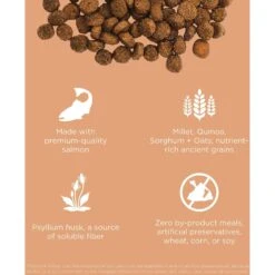 Go! Solutions Digestive + Gut Health Salmon Recipe With Ancient Grains For Cats 11 Go! Solutions Digestive + Gut Health Salmon Recipe With Ancient Grains For Cats -Wellness Sales Store 539574 PT2. AC SS1800 V1662061727