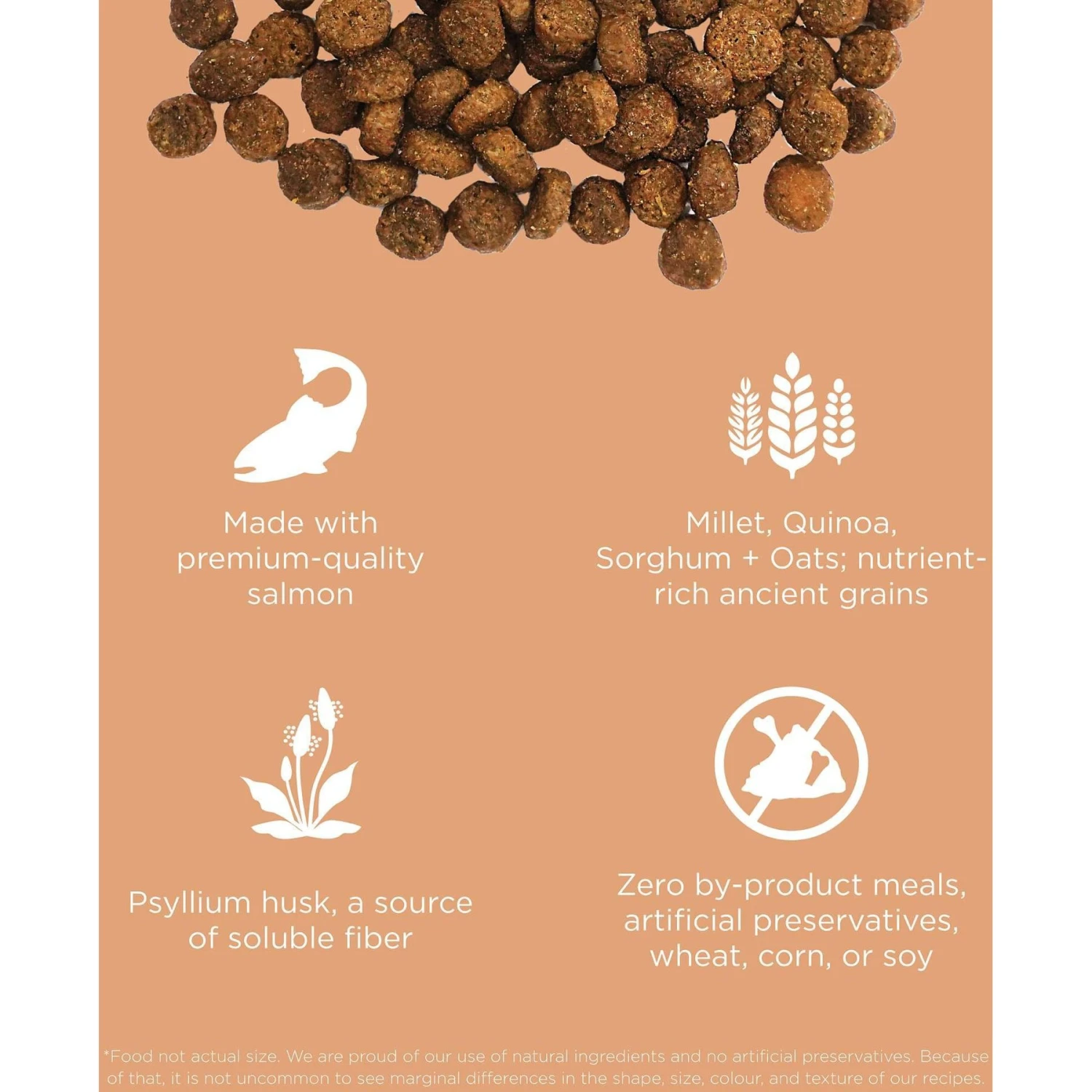 Go! Solutions Digestive + Gut Health Salmon Recipe With Ancient Grains For Cats 3 Go! Solutions Digestive + Gut Health Salmon Recipe With Ancient Grains For Cats - Image 3