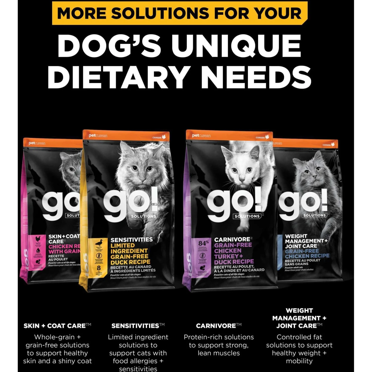 Go! Solutions Digestive + Gut Health Salmon Recipe With Ancient Grains For Cats 5 Go! Solutions Digestive + Gut Health Salmon Recipe With Ancient Grains For Cats - Image 5