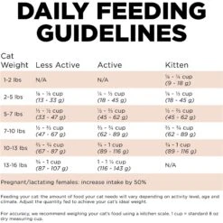 Go! Solutions Digestive + Gut Health Salmon Recipe With Ancient Grains For Cats 14 Go! Solutions Digestive + Gut Health Salmon Recipe With Ancient Grains For Cats -Wellness Sales Store 539574 PT5. AC SS1800 V1662062540