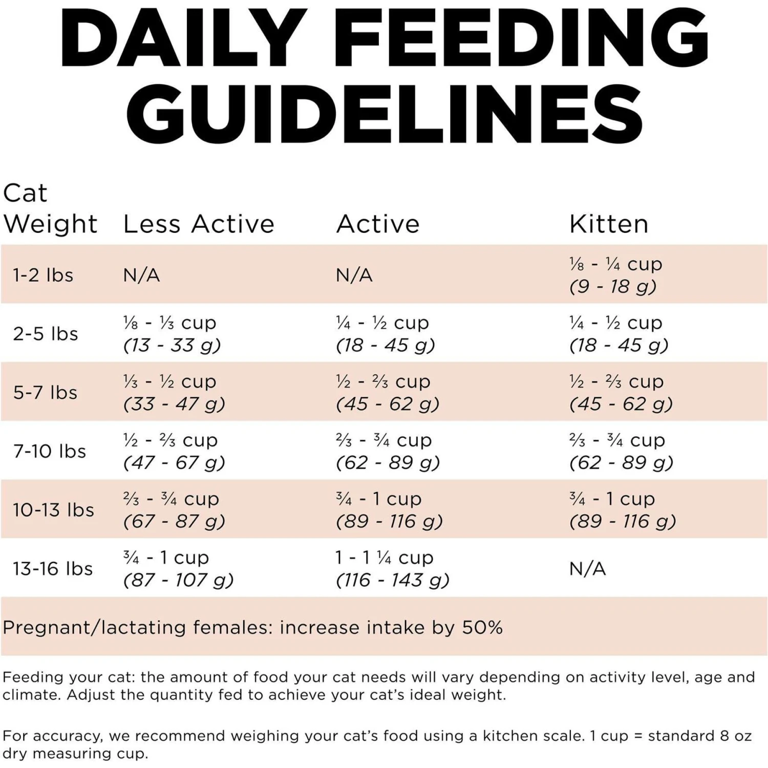 Go! Solutions Digestive + Gut Health Salmon Recipe With Ancient Grains For Cats 6 Go! Solutions Digestive + Gut Health Salmon Recipe With Ancient Grains For Cats - Image 6