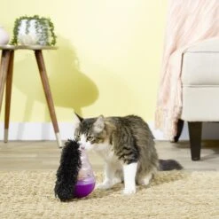 KONG Cat Wobbler Treat Dispenser -Wellness Sales Store 54926 PT4. AC SS1800 V1545170374