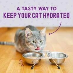 Stella & Chewy's Carnivore Cravings Chicken & Tuna Flavored Shredded Wet Cat Food -Wellness Sales Store 576214 PT7. AC SS1800 V1657660463