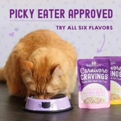 Stella & Chewy's Carnivore Cravings Chicken & Tuna Flavored Shredded Wet Cat Food -Wellness Sales Store 576214 PT8. AC SS1800 V1659028320