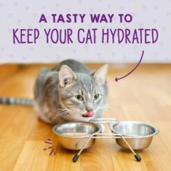 Stella & Chewy's Purrfect Pate Tuna & Pumpkin Flavored Pate Wet Cat Food 14 Stella & Chewy's Purrfect Pate Tuna & Pumpkin Flavored Pate Wet Cat Food -Wellness Sales Store 576438 PT7. AC SS1800 V1657660469