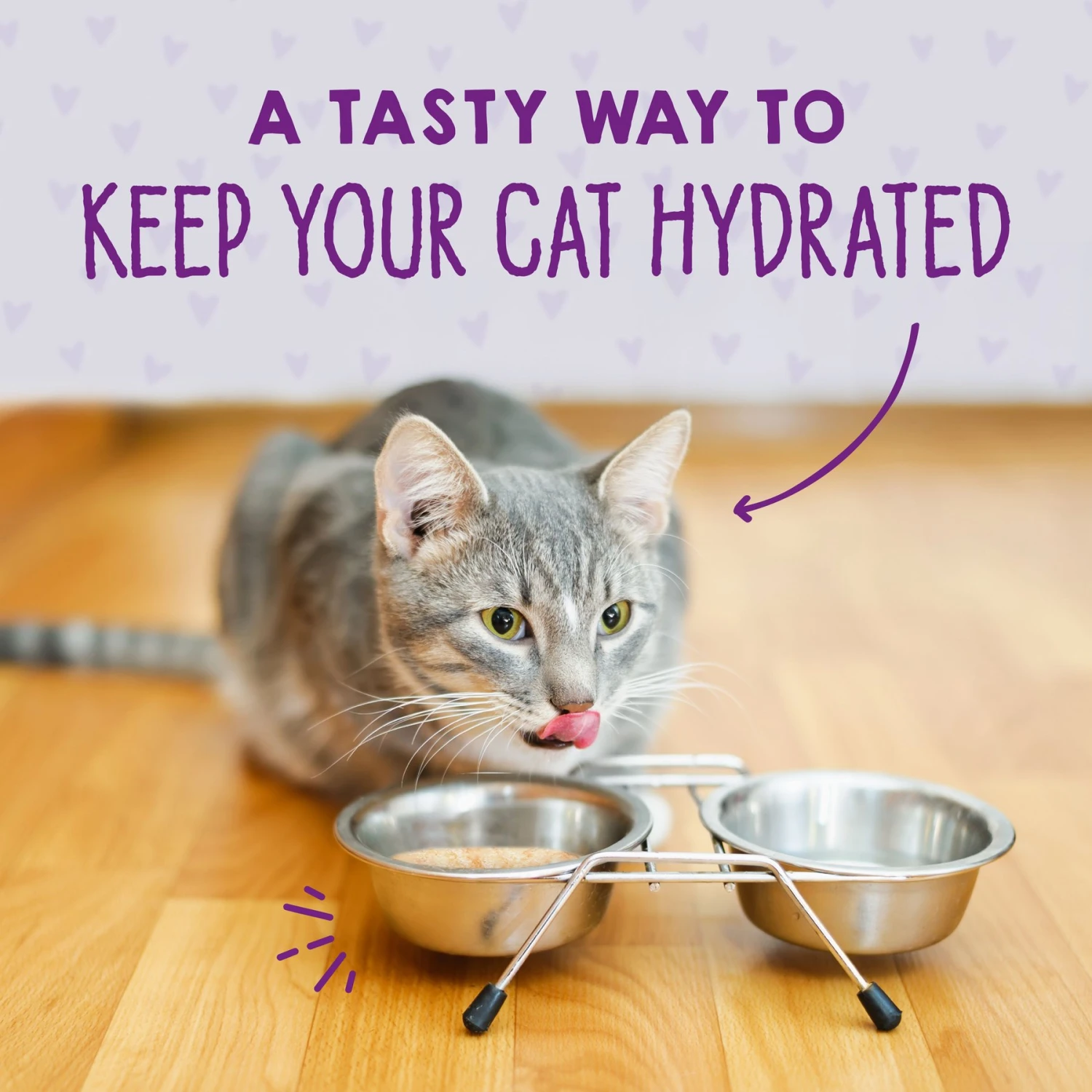 Stella & Chewy's Purrfect Pate Tuna & Pumpkin Flavored Pate Wet Cat Food 7 Stella & Chewy's Purrfect Pate Tuna & Pumpkin Flavored Pate Wet Cat Food - Image 7