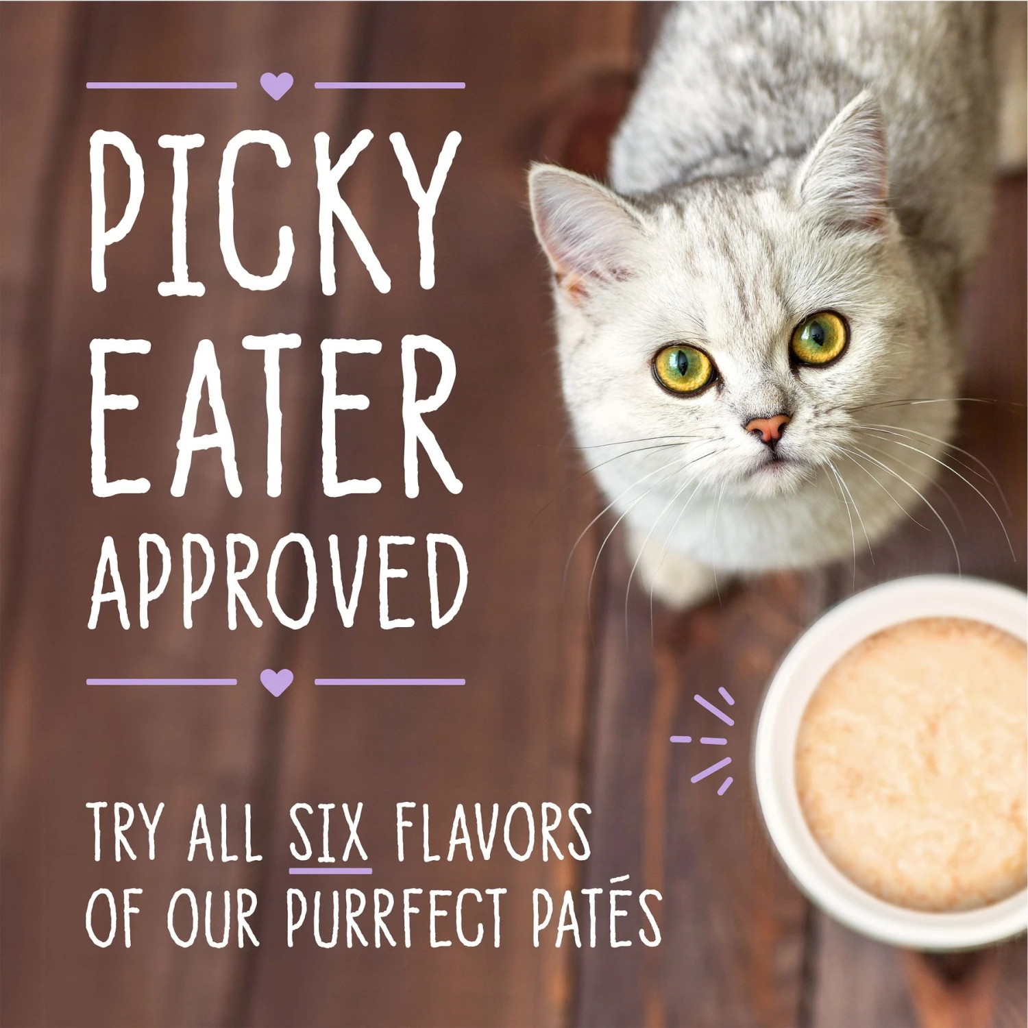 Stella & Chewy's Purrfect Pate Tuna & Pumpkin Flavored Pate Wet Cat Food 8 Stella & Chewy's Purrfect Pate Tuna & Pumpkin Flavored Pate Wet Cat Food - Image 8