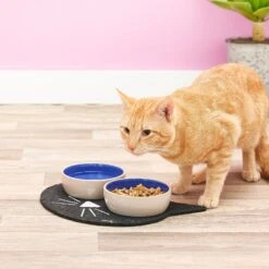 ORE Pet Recycled Rubber Black Cat Face Placemat -Wellness Sales Store 58416 PT7. AC SS1800 V1517251258