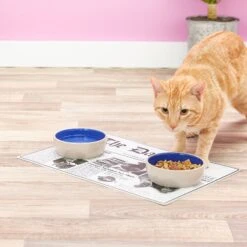 ORE Pet The Daily Cat Placemat -Wellness Sales Store 58425 PT7. AC SS1800 V1517251267