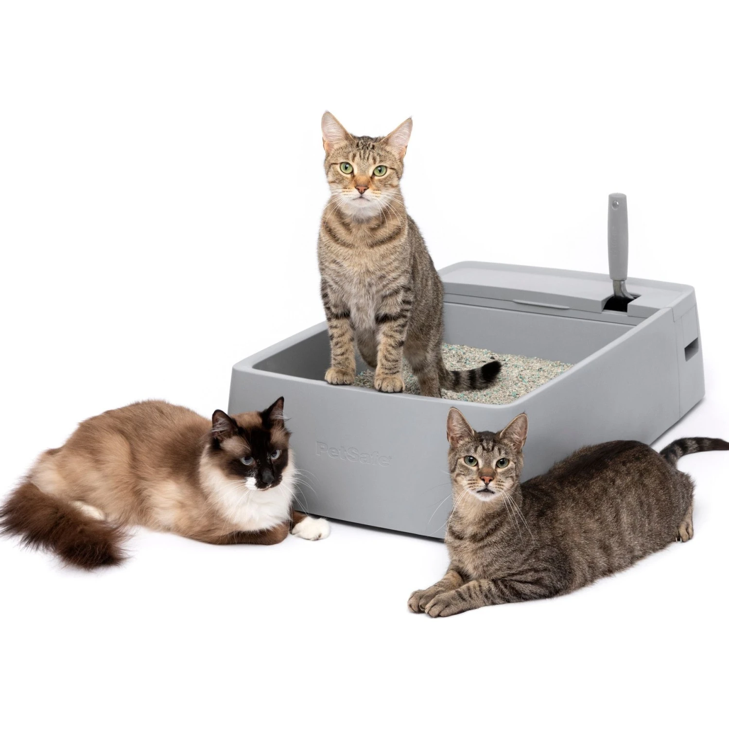 PetSafe Multi-Cat Litter Box 1 PetSafe Multi-Cat Litter Box
