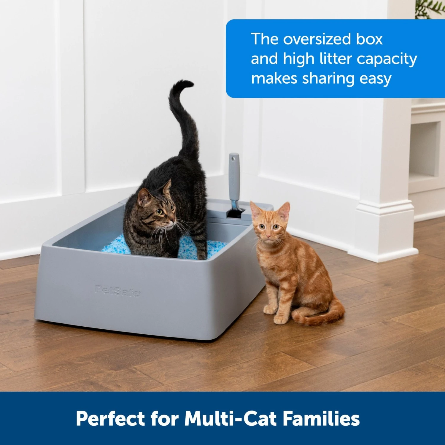 PetSafe Multi-Cat Litter Box 2 PetSafe Multi-Cat Litter Box - Image 2