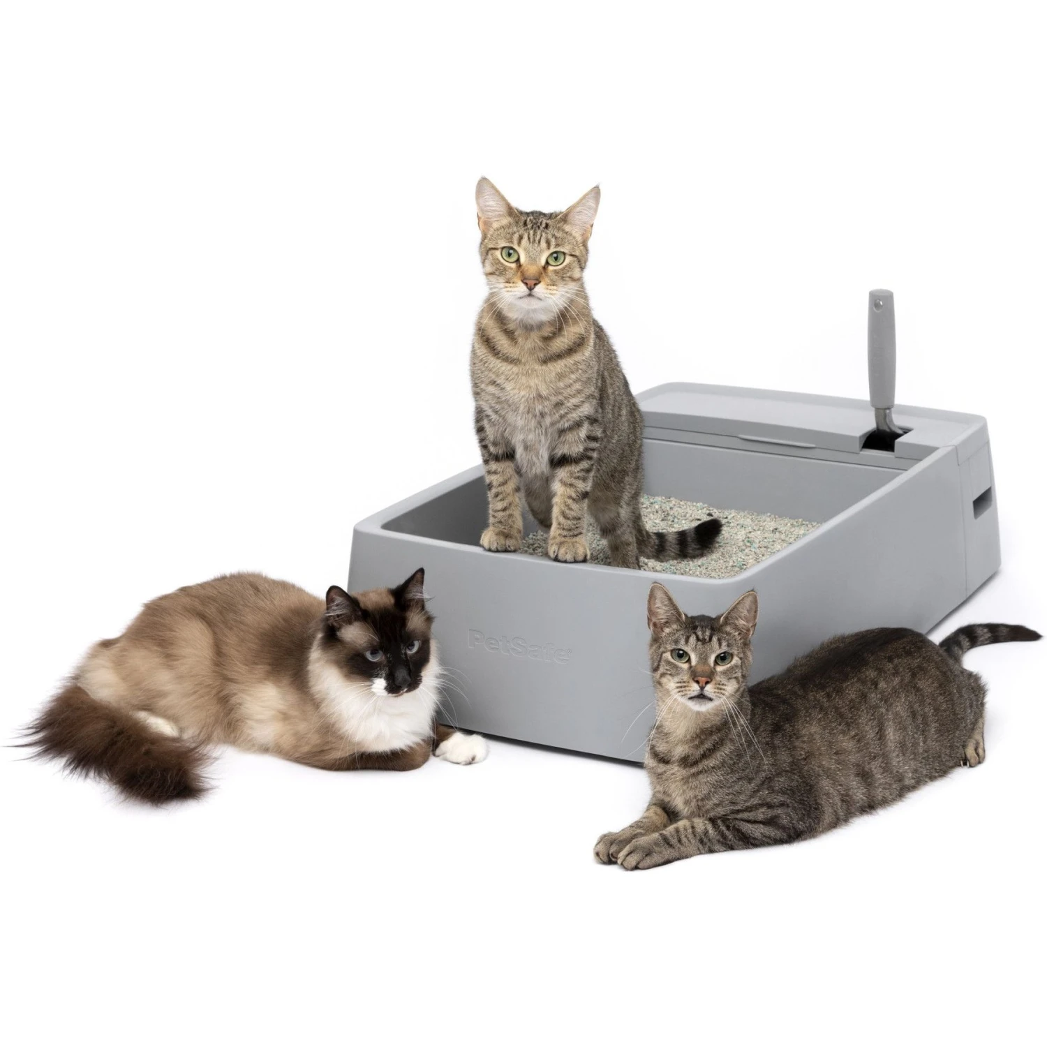 PetSafe Multi-Cat Litter Box 7 PetSafe Multi-Cat Litter Box - Image 7