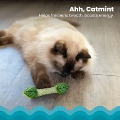 Catstages Fresh Breath Mint Stick Cat Chew Toy -Wellness Sales Store 62044 PT2. AC SS1800 V1636519877