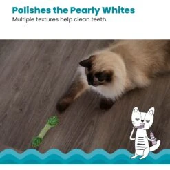 Catstages Fresh Breath Mint Stick Cat Chew Toy -Wellness Sales Store 62044 PT3. AC SS1800 V1636513103