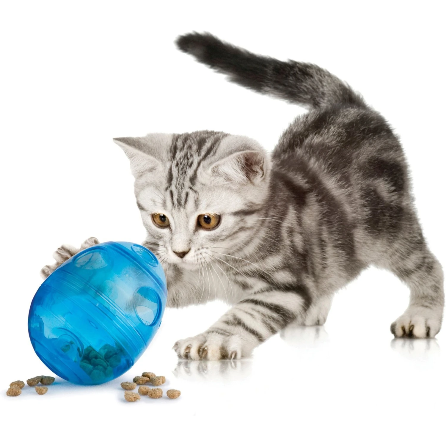 PetSafe Funkitty Egg-Cersizer Treat Dispenser Cat Toy 3 PetSafe Funkitty Egg-Cersizer Treat Dispenser Cat Toy - Image 3