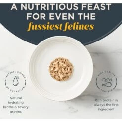 Reveal Natural Grain-Free Sardine With Mackerel In Broth Flavored Wet Cat Food, 2.12-oz Pot, Case Of 18 10 Reveal Natural Grain-Free Sardine With Mackerel In Broth Flavored Wet Cat Food, 2.12-oz Pot, Case Of 18 -Wellness Sales Store 638038 PT3. AC SS1800 V1663106600