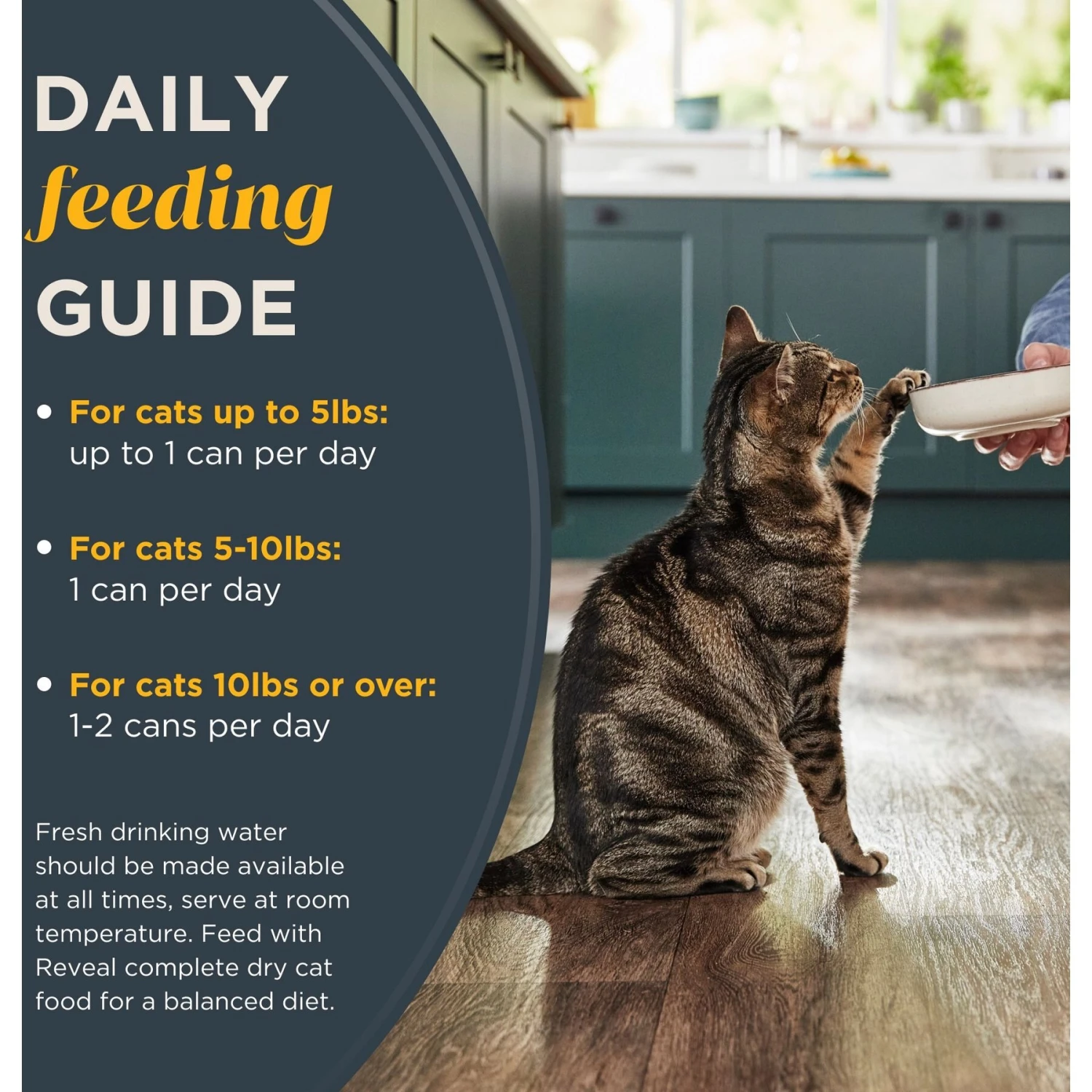 Reveal Natural Grain-Free Sardine With Mackerel In Broth Flavored Wet Cat Food, 2.12-oz Pot, Case Of 18 6 Reveal Natural Grain-Free Sardine With Mackerel In Broth Flavored Wet Cat Food, 2.12-oz Pot, Case Of 18 - Image 6