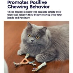 Catstages Dental Cat Chew Toy With Catnip, Color Varies -Wellness Sales Store 64661 PT3. AC SS1800 V1636497150