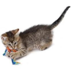 Catstages Dental Cat Chew Toy With Catnip, Color Varies -Wellness Sales Store 64661 PT5. AC SS1800 V1636519583