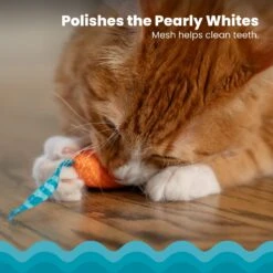 Catstages Mice Cat Chew Toy With Catnip -Wellness Sales Store 64672 PT2. AC SS1800 V1636506377