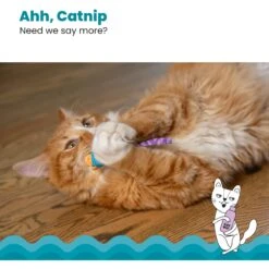 Catstages Mice Cat Chew Toy With Catnip -Wellness Sales Store 64672 PT3. AC SS1800 V1636517204