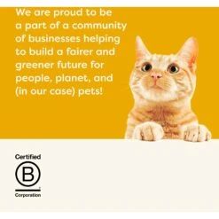 Applaws Chicken Breast Canned Cat Food -Wellness Sales Store 65370 PT6. AC SS1800 V1658151956