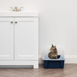 IRIS USA Open Top Litter Box With Scatter Shield 11 IRIS USA Open Top Litter Box With Scatter Shield -Wellness Sales Store 65498 PT2. AC SS1800 V1680803978