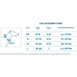 STAR WARS THE MANDALORIAN GROGU Pumpkin Dog Collar + 2 Items -Wellness Sales Store 656358 PT2. AC SS1800 V1665684477