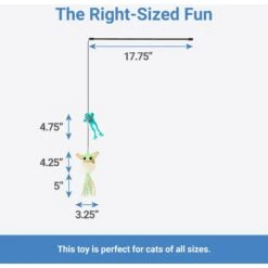 STAR WARS THE MANDALORIAN GROGU Pumpkin Dog Collar + 2 Items -Wellness Sales Store 656358 PT8. AC SS1800 V1665684539