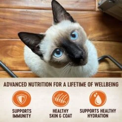 Wellness CORE Signature Selects Shredded Boneless Chicken & Chicken Liver Entree In Sauce Grain-Free Natural Canned Cat Food & Wellness CORE Signature Selects Shredded Boneless Chicken & Beef Entree In Sauce Grain-Free Canned Cat Food -Wellness Sales Store 662678 PT8. AC SS1800 V1668736059