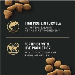 Purina Pro Plan Adult Indoor Hairball Management Salmon & Rice Formula Dry Cat Food 12 Purina Pro Plan Adult Indoor Hairball Management Salmon & Rice Formula Dry Cat Food -Wellness Sales Store 67895 PT3. AC SS1800 V1633987277