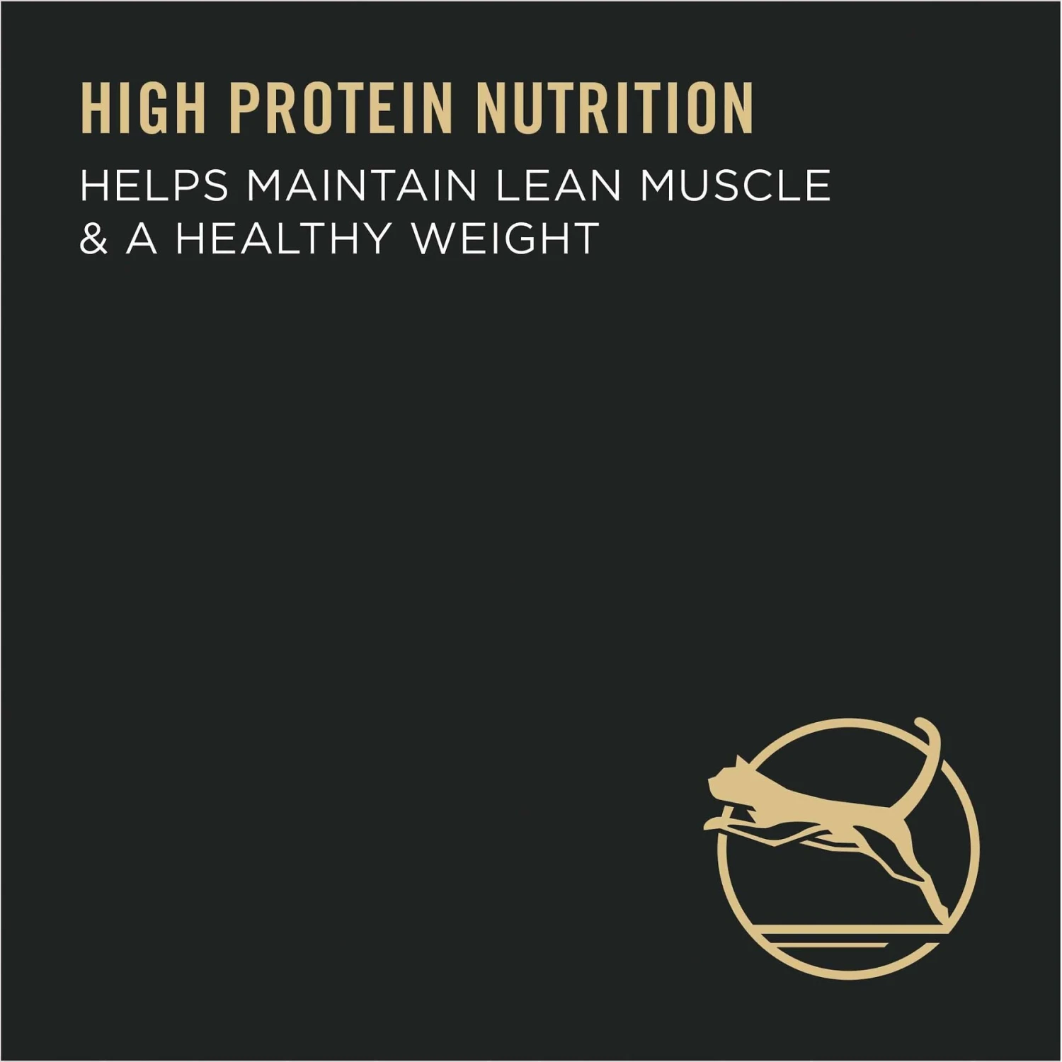 Purina Pro Plan Adult Indoor Hairball Management Salmon & Rice Formula Dry Cat Food 5 Purina Pro Plan Adult Indoor Hairball Management Salmon & Rice Formula Dry Cat Food - Image 5