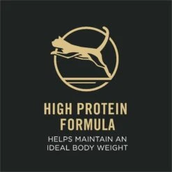 Purina Pro Plan Focus Adult Indoor Care Salmon & Rice Entree In Sauce Canned Cat Food -Wellness Sales Store 67915 PT2. AC SS1800 V1669672511