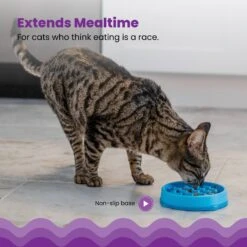 Petstages Kitty Slow Cat Feeder -Wellness Sales Store 684990 PT2. AC SS1800 V1700515753