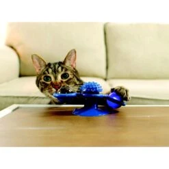 Pets Know Best Purrfect Spinner Cat Toy, Blue -Wellness Sales Store 691606 PT2. AC SS1800 V1667519297