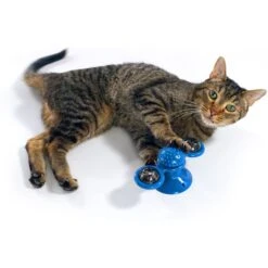 Pets Know Best Purrfect Spinner Cat Toy, Blue -Wellness Sales Store 691606 PT4. AC SS1800 V1667518400