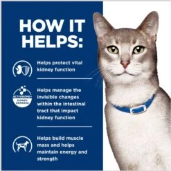 Hill's Prescription Diet K/d Kidney Care With Chicken Wet Cat Food -Wellness Sales Store 69844 PT5. AC SS1800 V1691772508