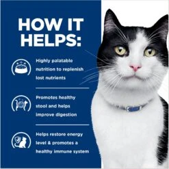 Hill's Prescription Diet I/d Digestive Care With Chicken Wet Cat Food 14 Hill's Prescription Diet I/d Digestive Care With Chicken Wet Cat Food -Wellness Sales Store 69849 PT5. AC SS1800 V1687986039