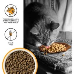 BIXBI Liberty Kitten Health Chicken Recipe Grain-Free Dry Cat Food -Wellness Sales Store 703646 PT2. AC SS1800 V1667863182